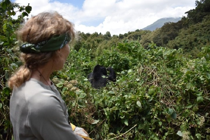 Range Land Safaris Limited-坎帕拉必去景点