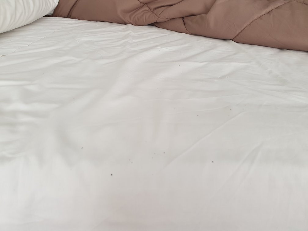 Pension Loimar主图