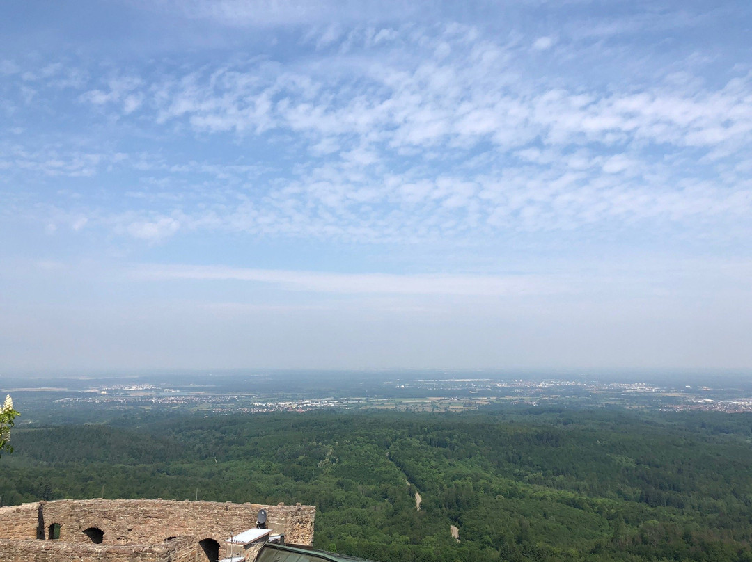 Alt Eberstein Castle-巴登巴登必去景点