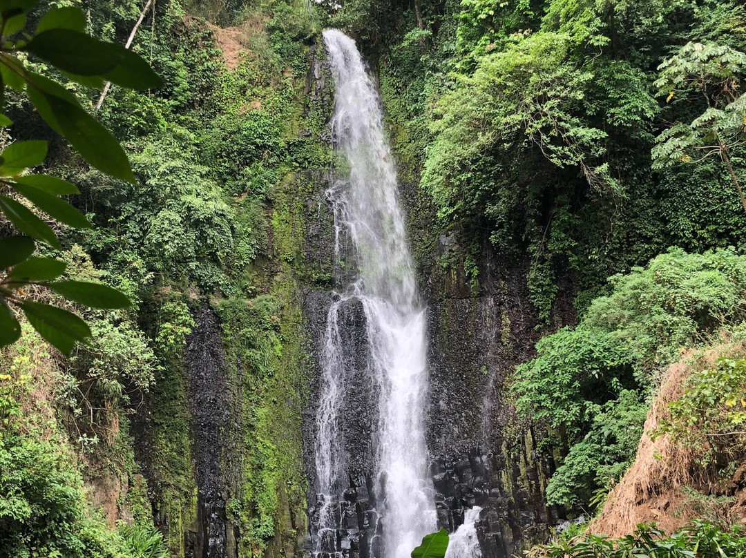 Los Chorros Waterfalls景点图片
