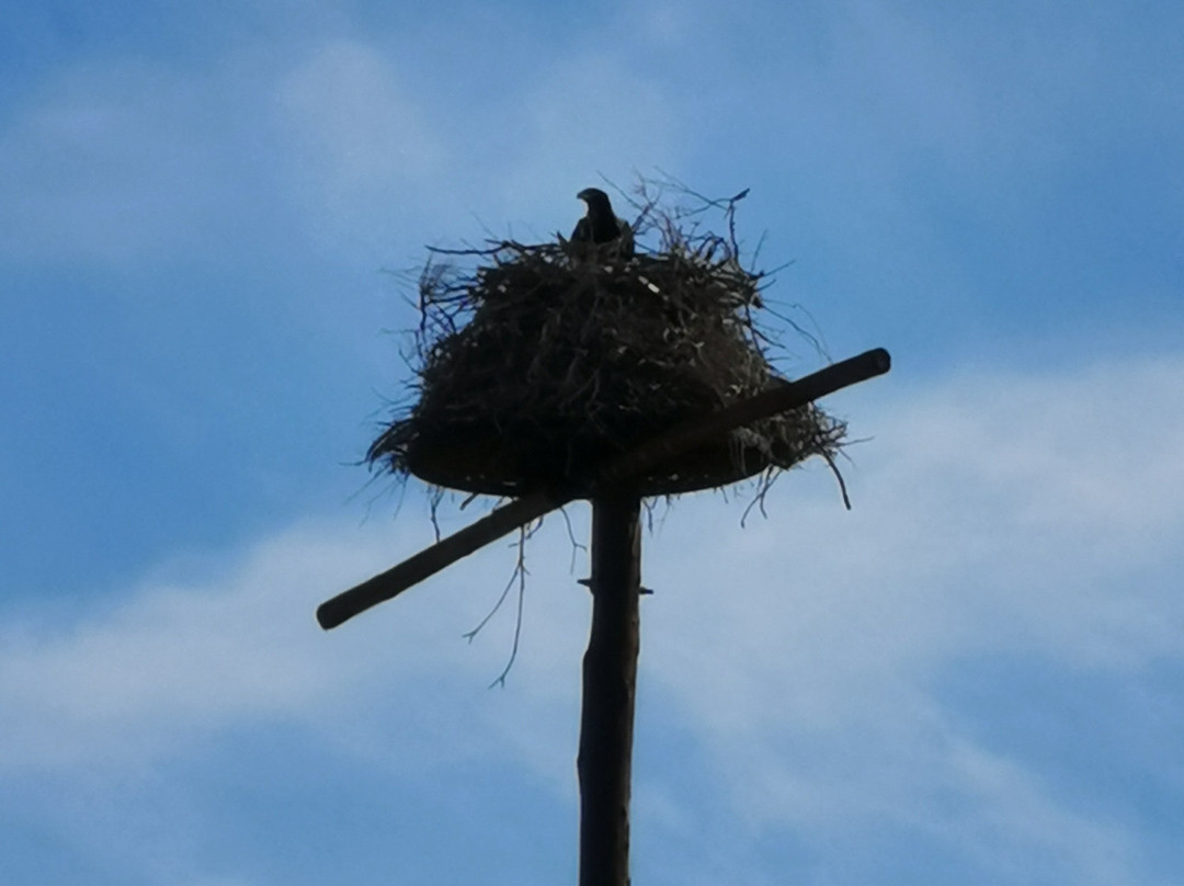 Ou Skool Guest House主图