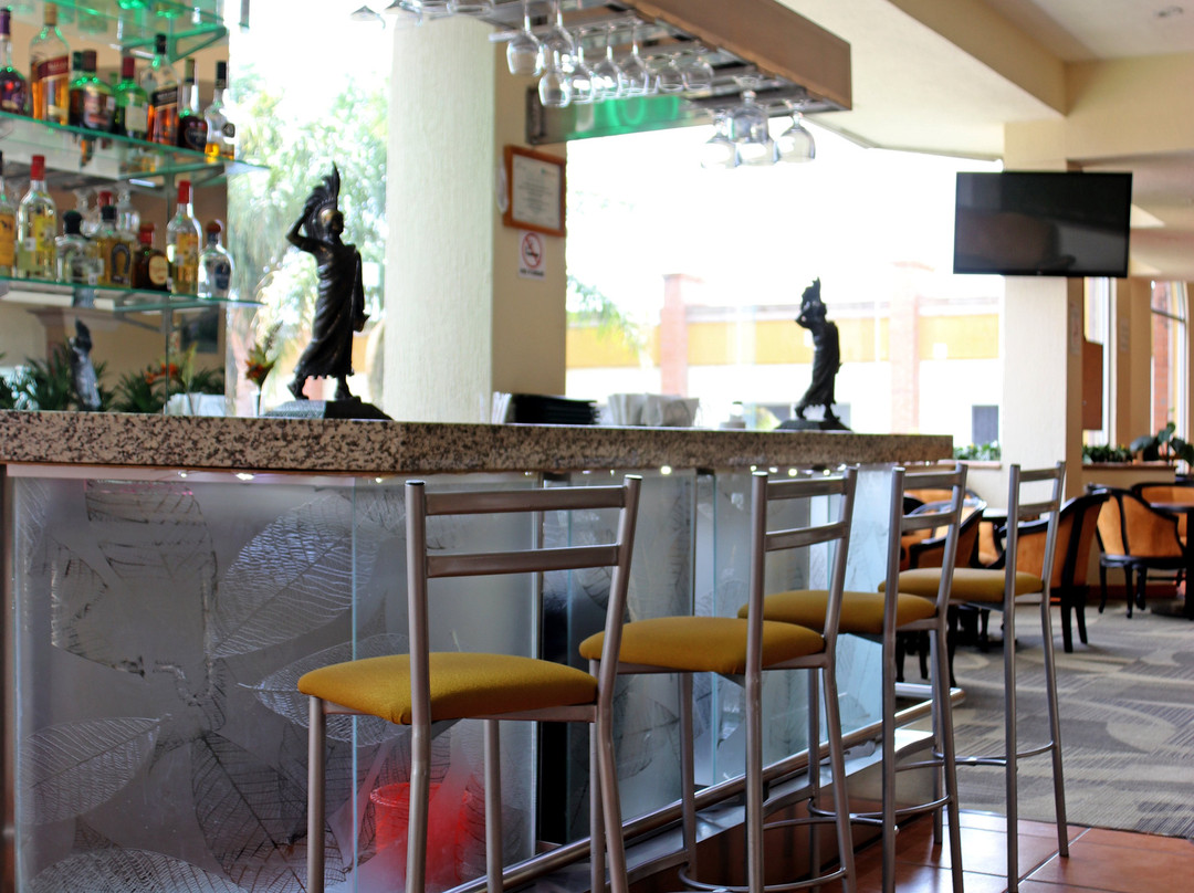 拉皮达德假日酒店主图