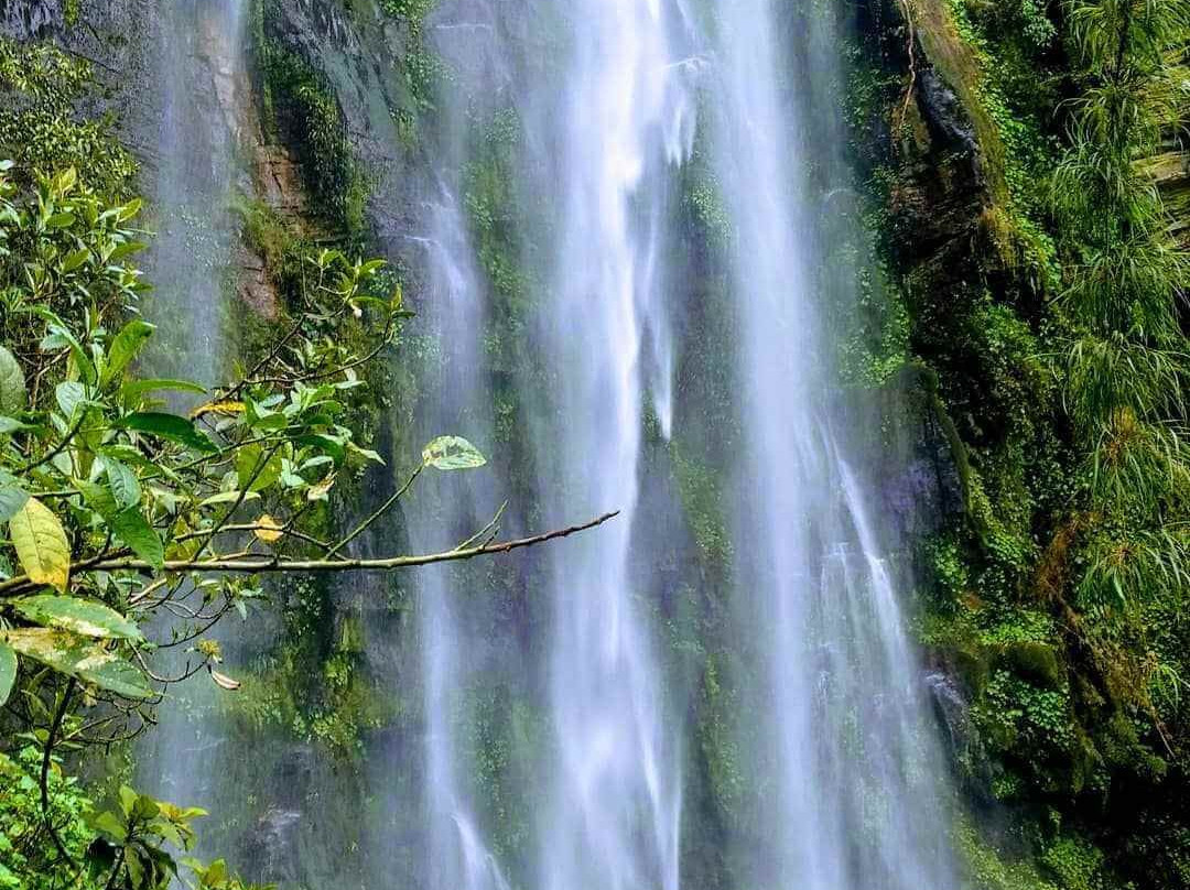 Parque Aventura la Chorrera景点图片