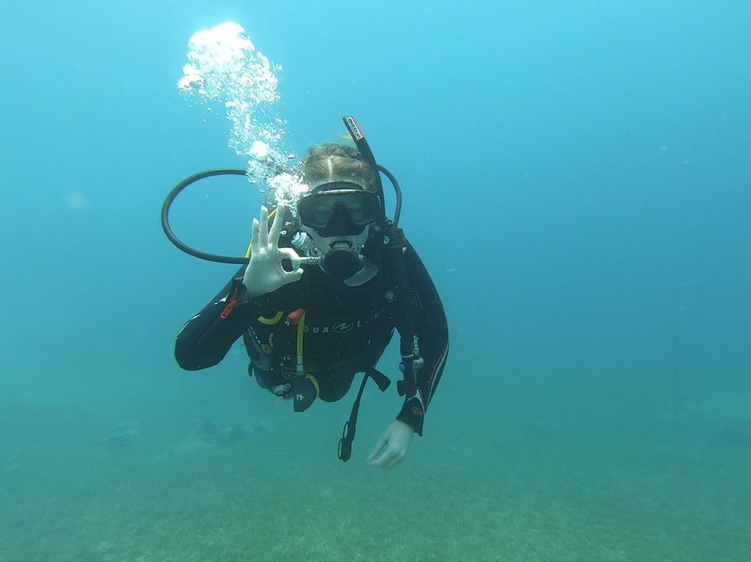 H2O Divers Dahab景点图片
