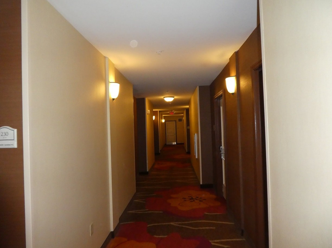 卡拉巴萨斯希尔顿花园酒店主图