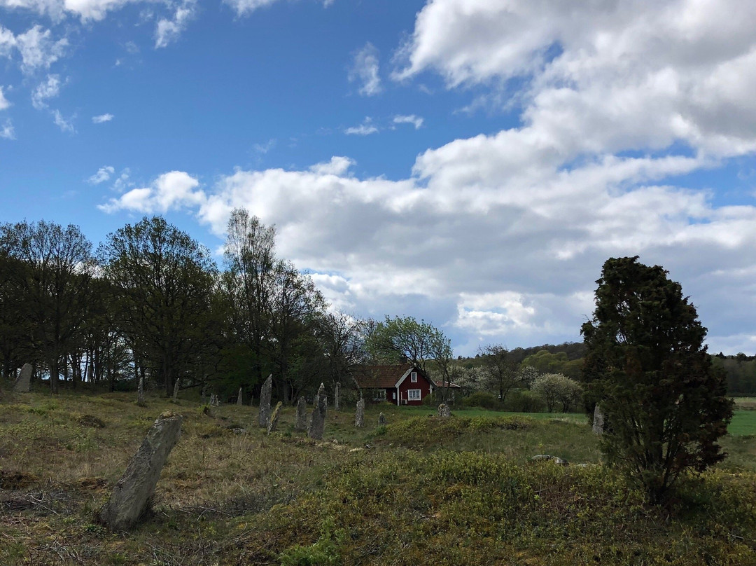 Naturum Fjärås Bräcka景点图片