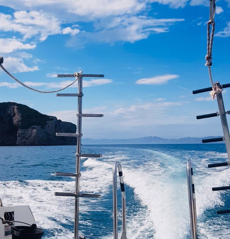 Xaloc Diving Center景点图片