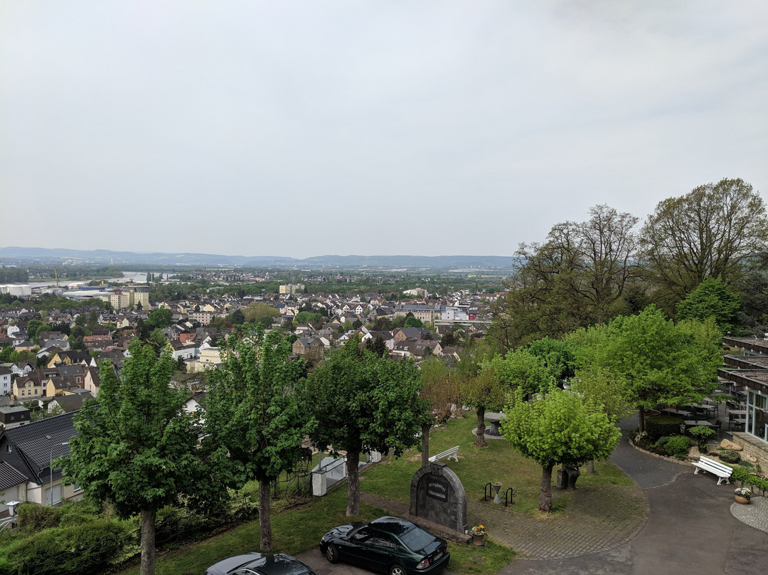 Berghotel Rheinblick主图