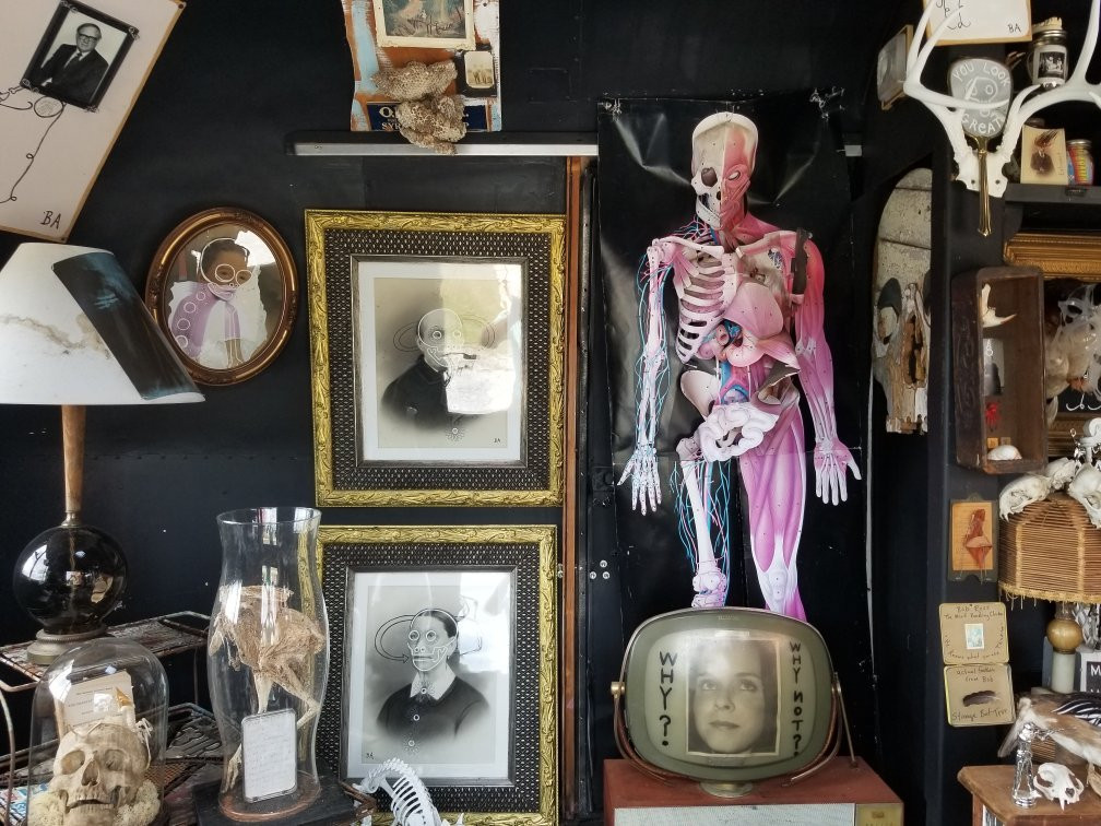 Drive Through Museum-Seale必去景点