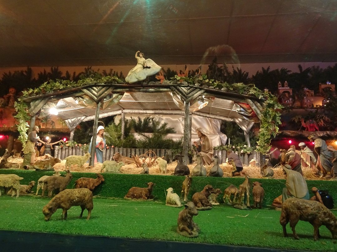 Whitehead Memorial Museum-Del Rio必去景点