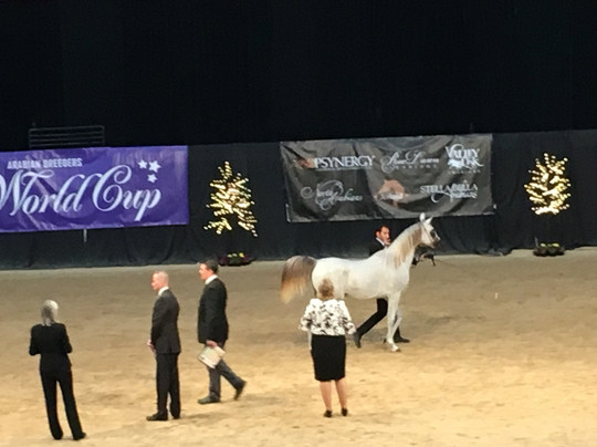 南岬赌场酒店主图