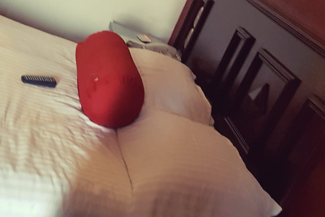 Hotel Real de Uruapan主图