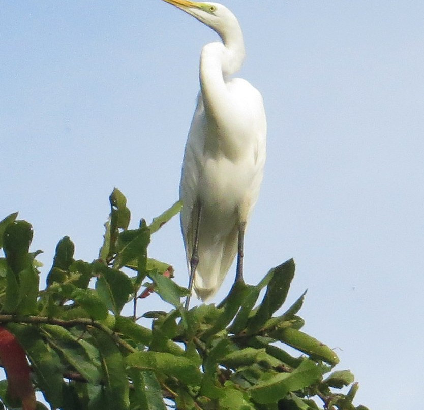 Diyabubula, the Barberyn Art & Jungle Hideaway主图