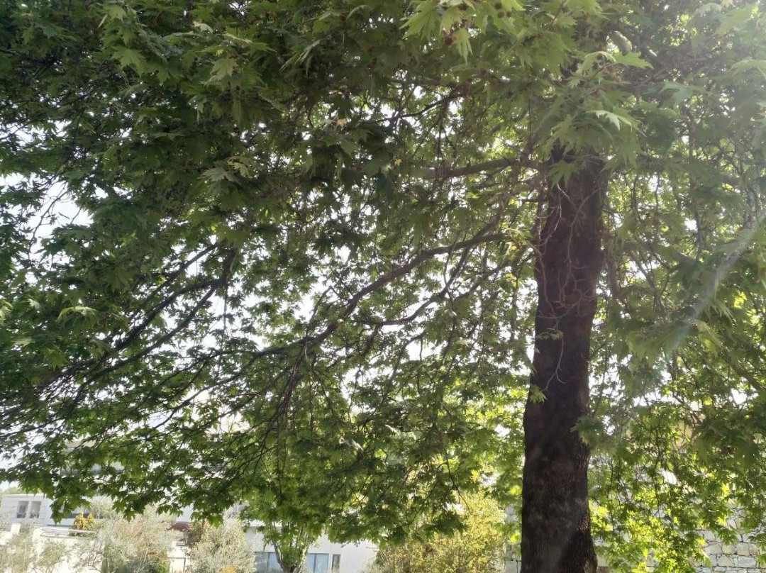 Olympian Bay Grand Resort主图