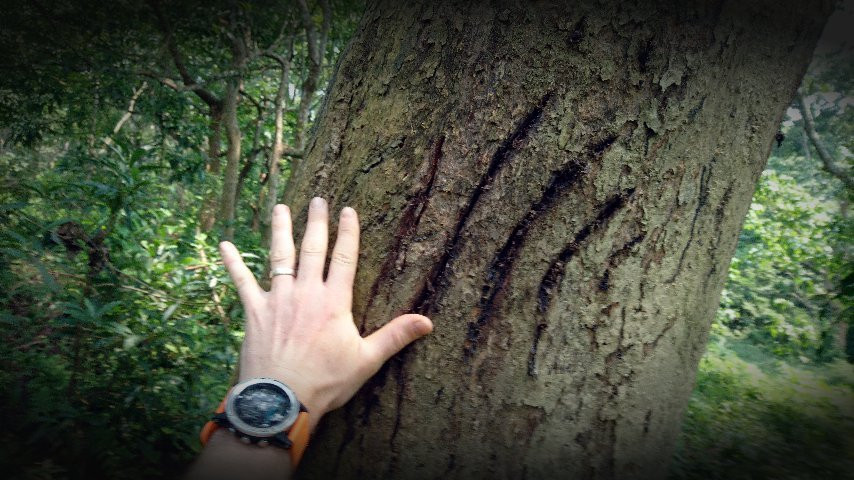 Co-operative Jungle Guide Service-苏拉哈必去景点