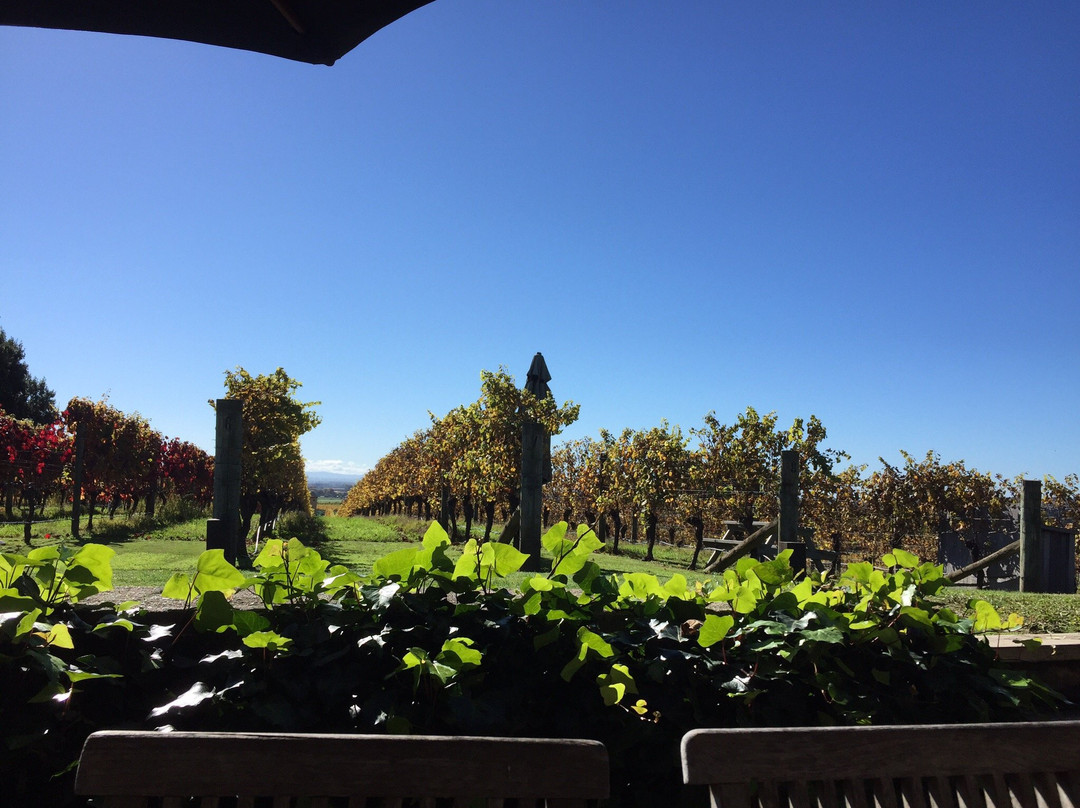 Black Barn Vineyards-Havelock North必去景点