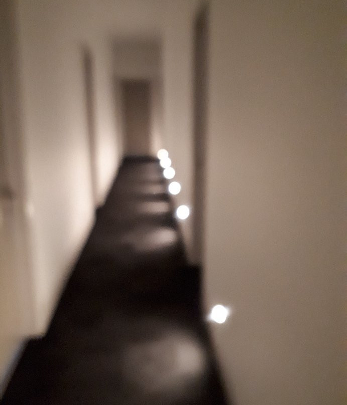 Talisman Hotel主图