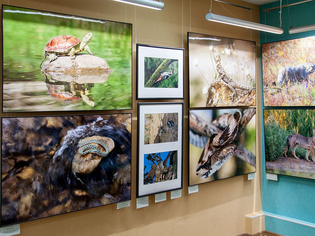Omsk Museum of Education-鄂木斯克必去景点