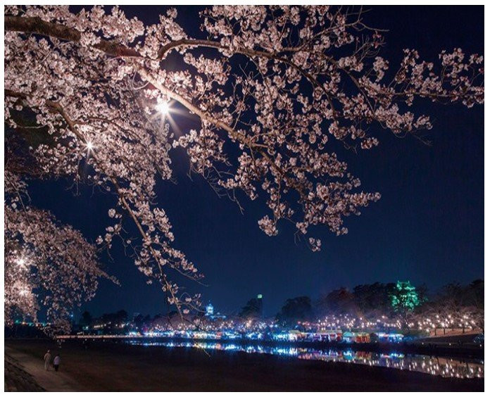 Mikawaonsen Kaiyutei主图