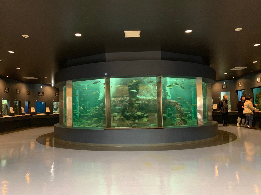 Shirahama Aquarium Kyoto University景点图片