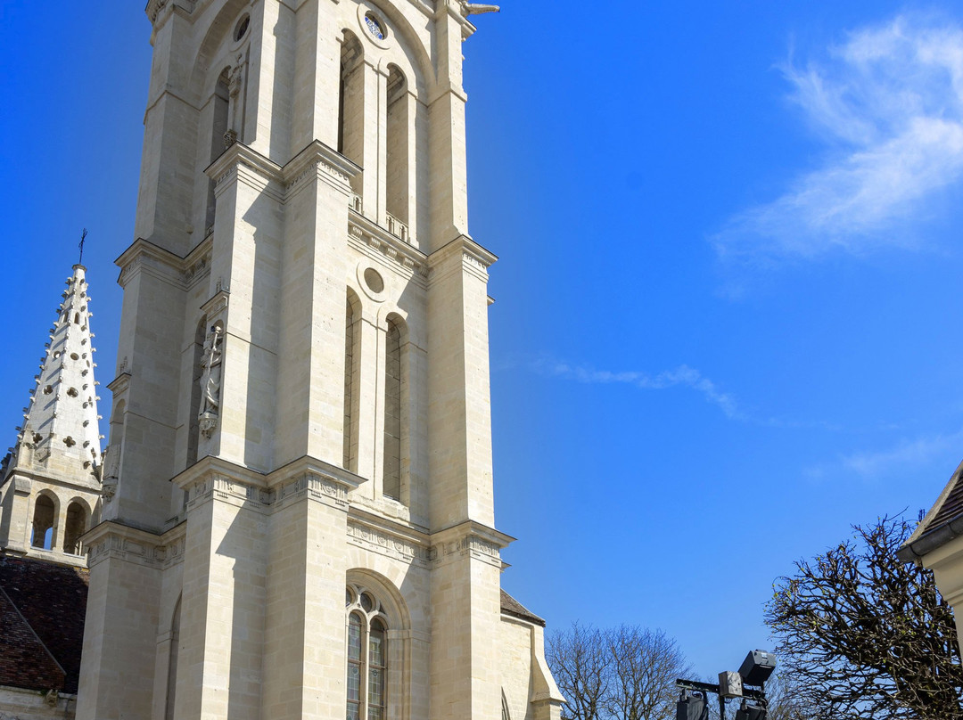 Eglise Saint Pierre-桑利斯必去景点