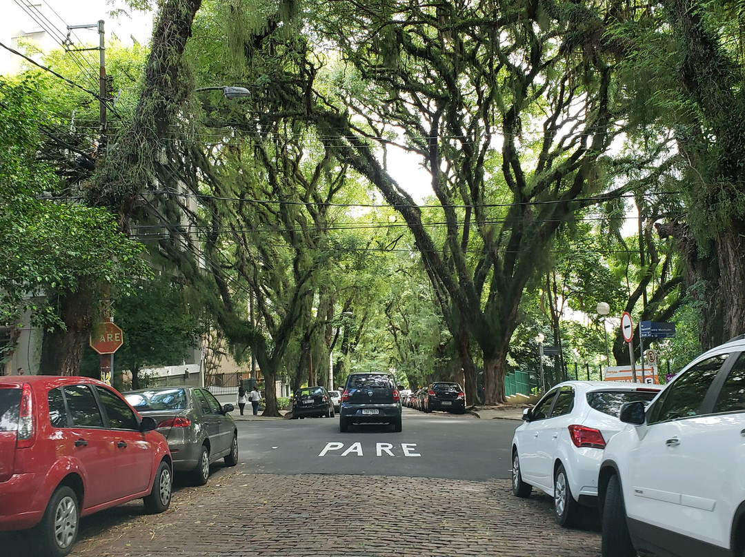 Rua Goncalo de Carvalho景点图片