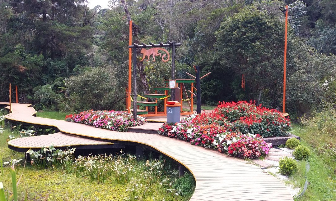 Bosque do Silêncio-坎普斯－杜若尔当必去景点