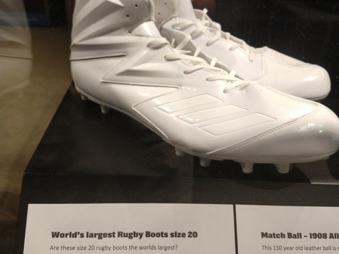 New Zealand Rugby Museum-北帕墨斯顿必去景点