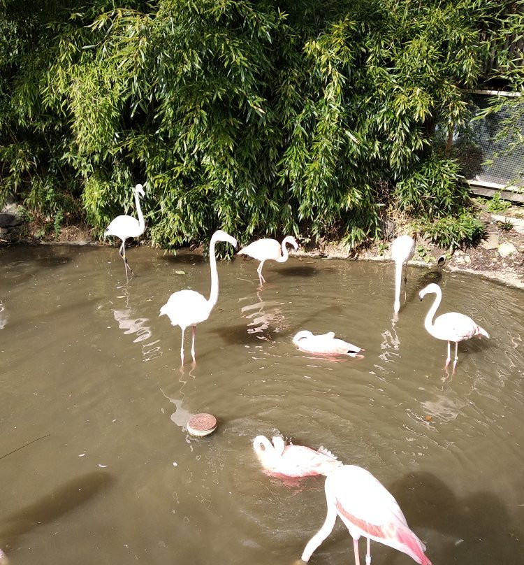 Tierpark Herborn景点图片