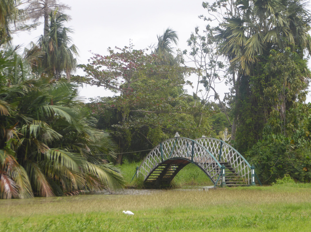 Guyana Botanical Gardens景点图片