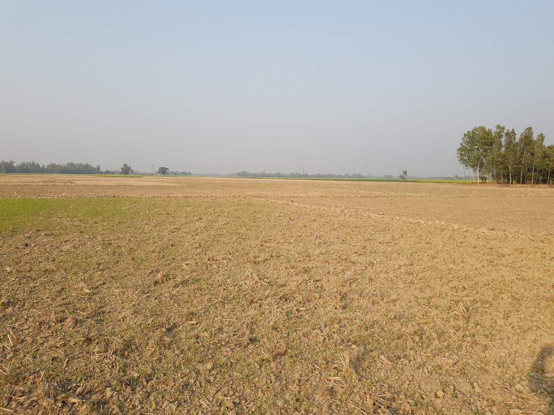 Mahasthangarh-Bogra必去景点