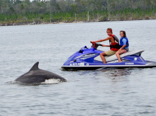 Barefoot Tours & Charters-橙色海湾必去景点