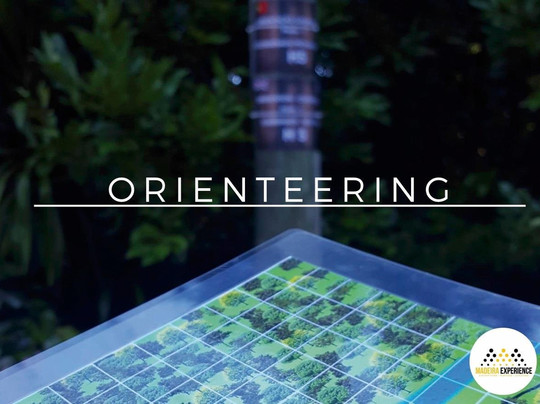 Madeira Experience-沙尔必去景点