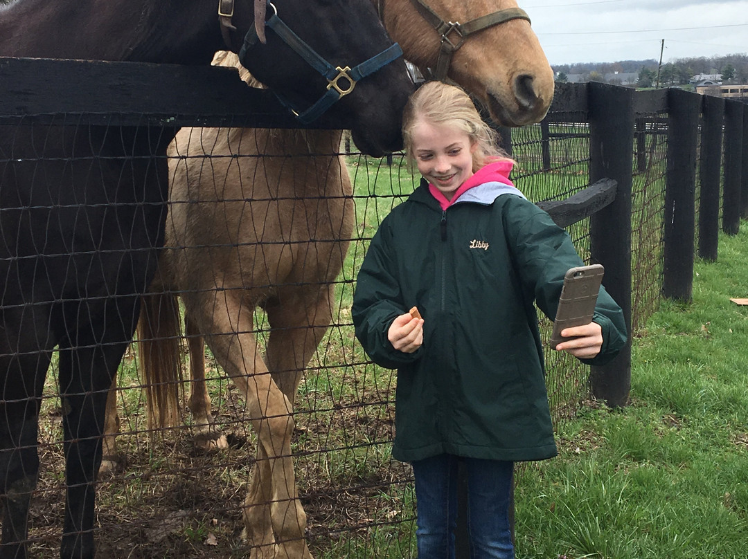 Hagyard Equine Medical Institute景点图片