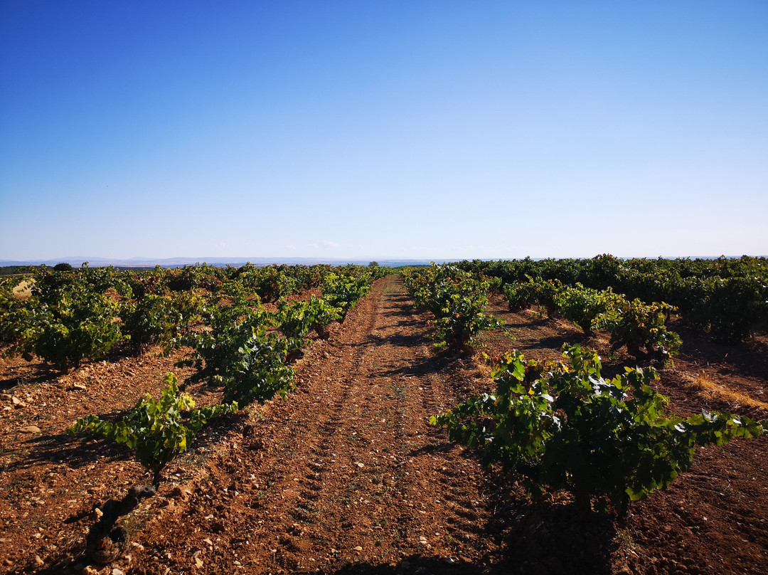 Las Dos Antiguas-Navas de Oro必去景点