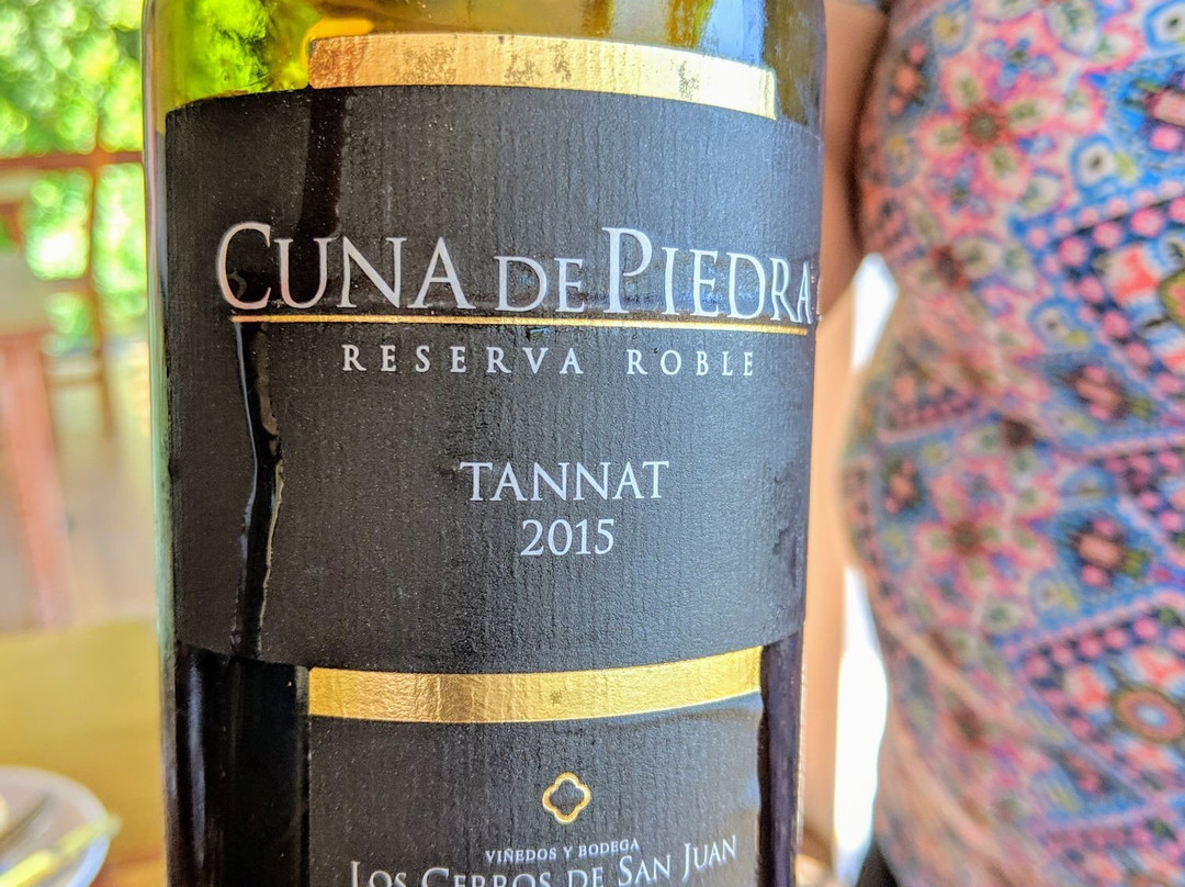 Rio Ancho Gourmet Lodge主图