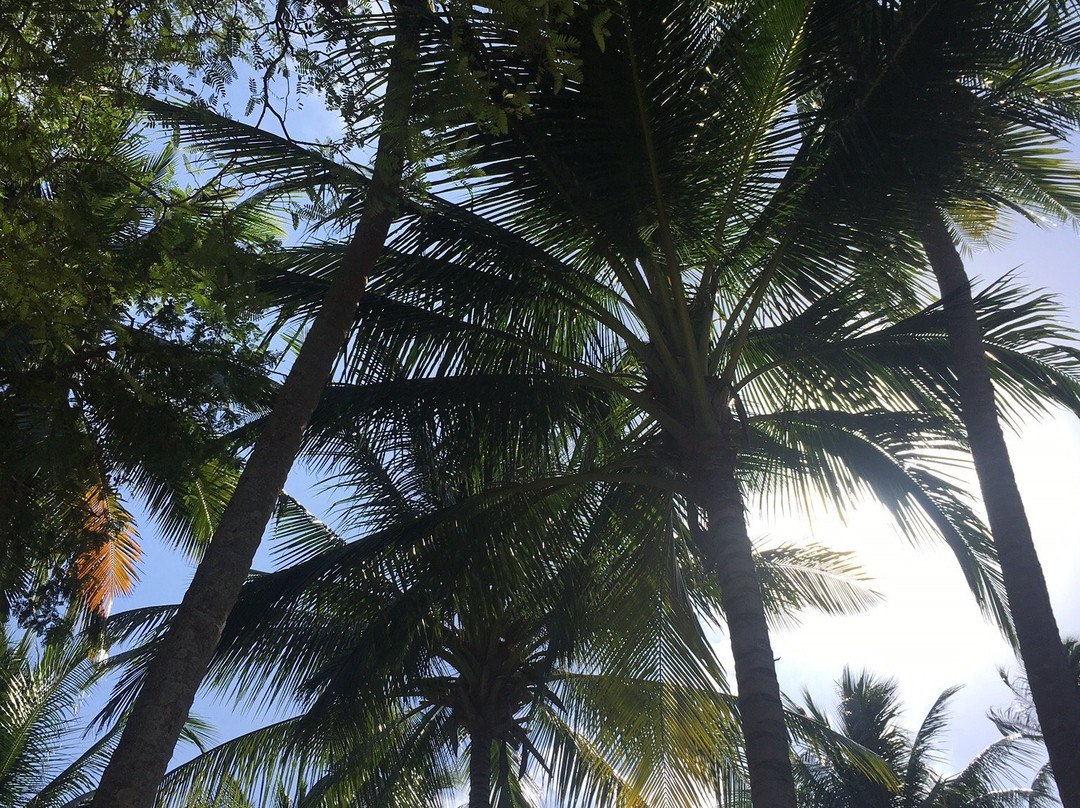 班迈别墅酒店主图