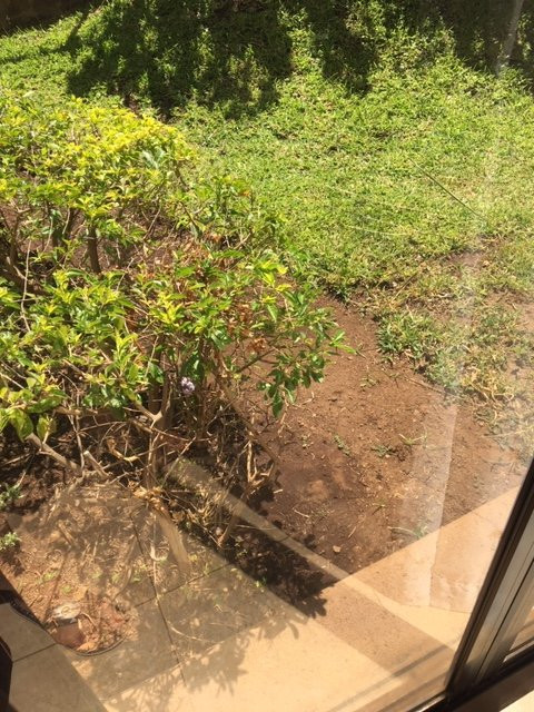 Reserva Conchal Beach Resort, Golf & Spa主图