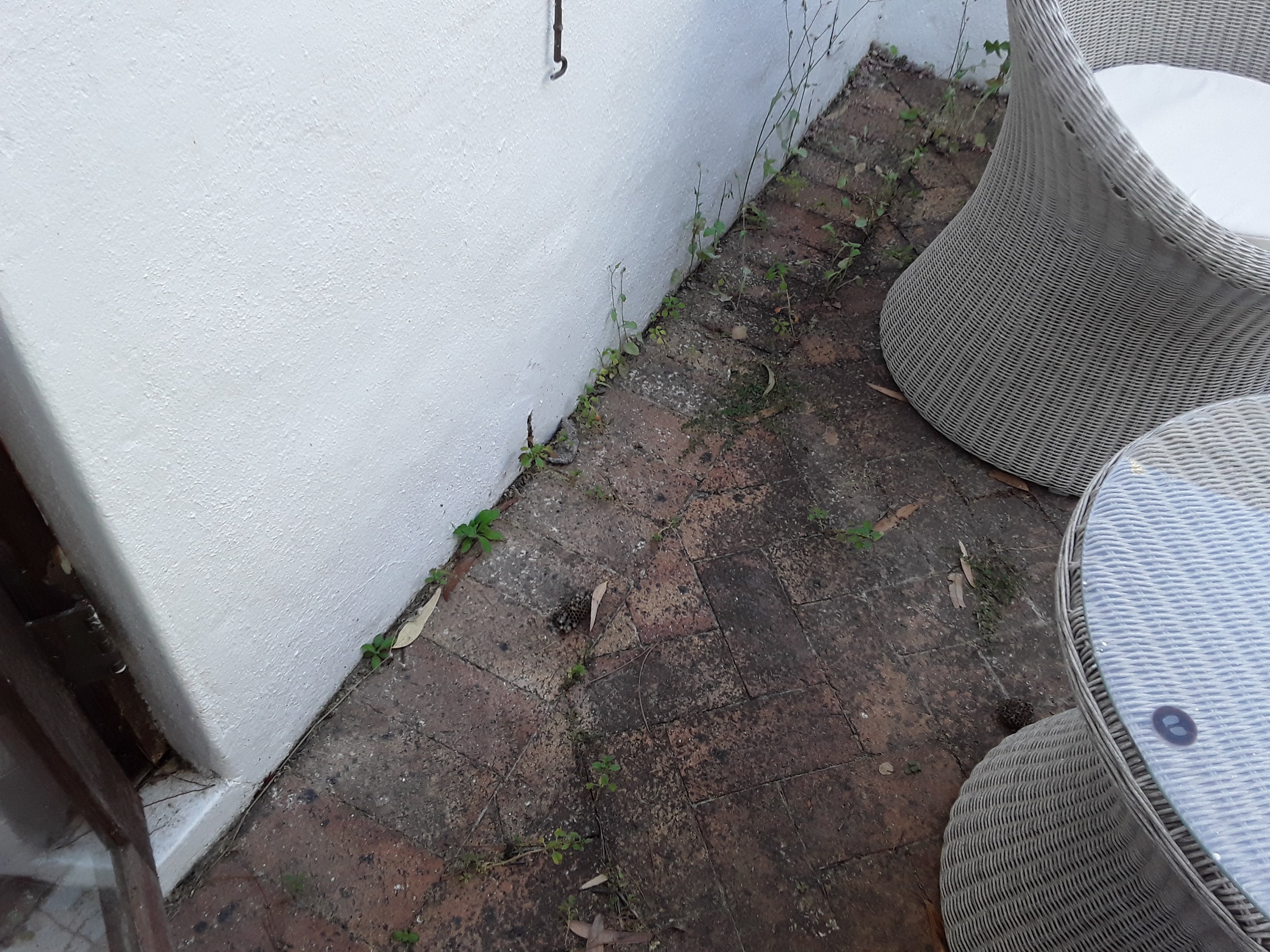 Marianne Wine Estate Guesthouse-酒店景观