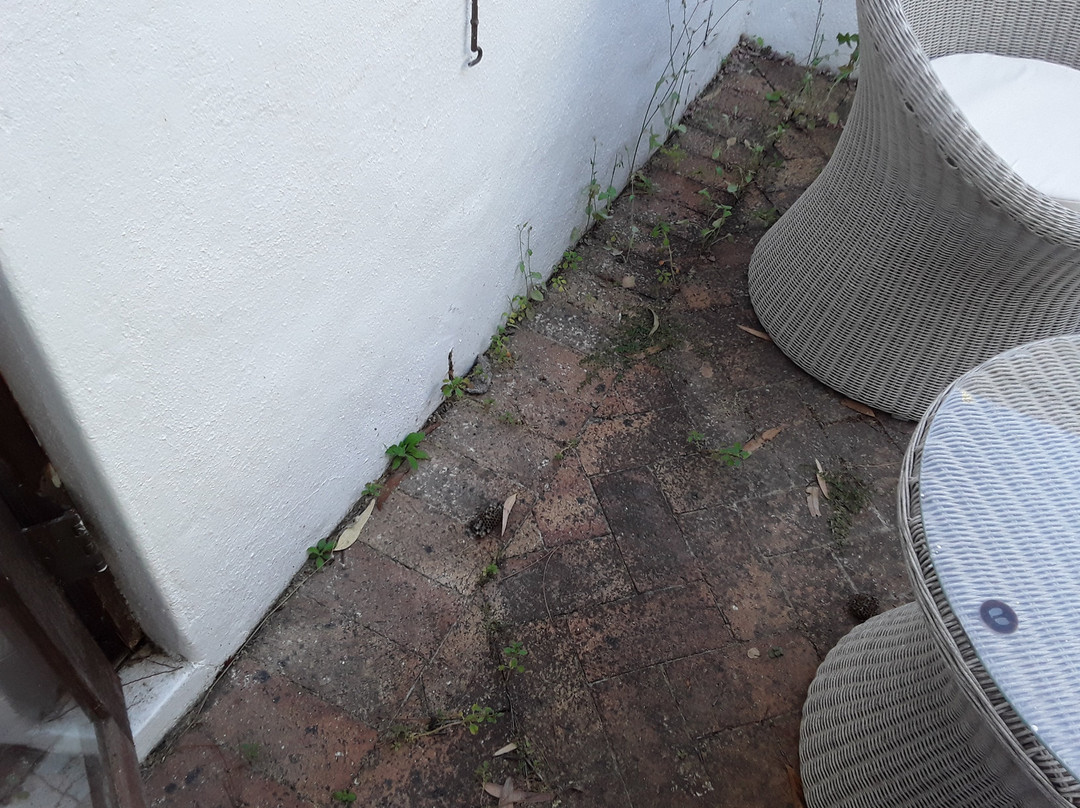 Marianne Wine Estate Guesthouse主图