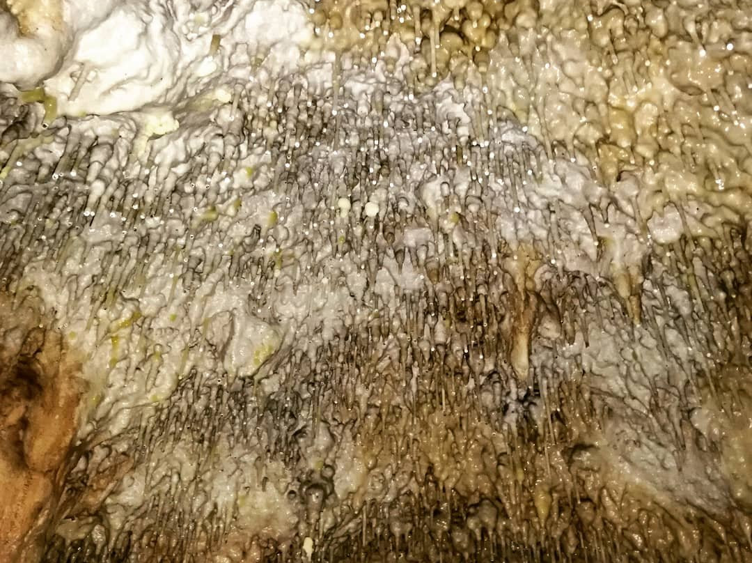 Grutas de Tzabnah-Tecoh必去景点