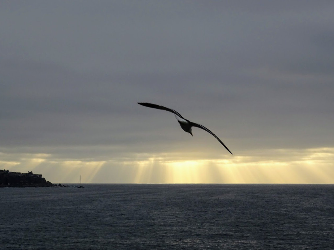 Radisson Blu Acqua Hotel & Spa Concon主图