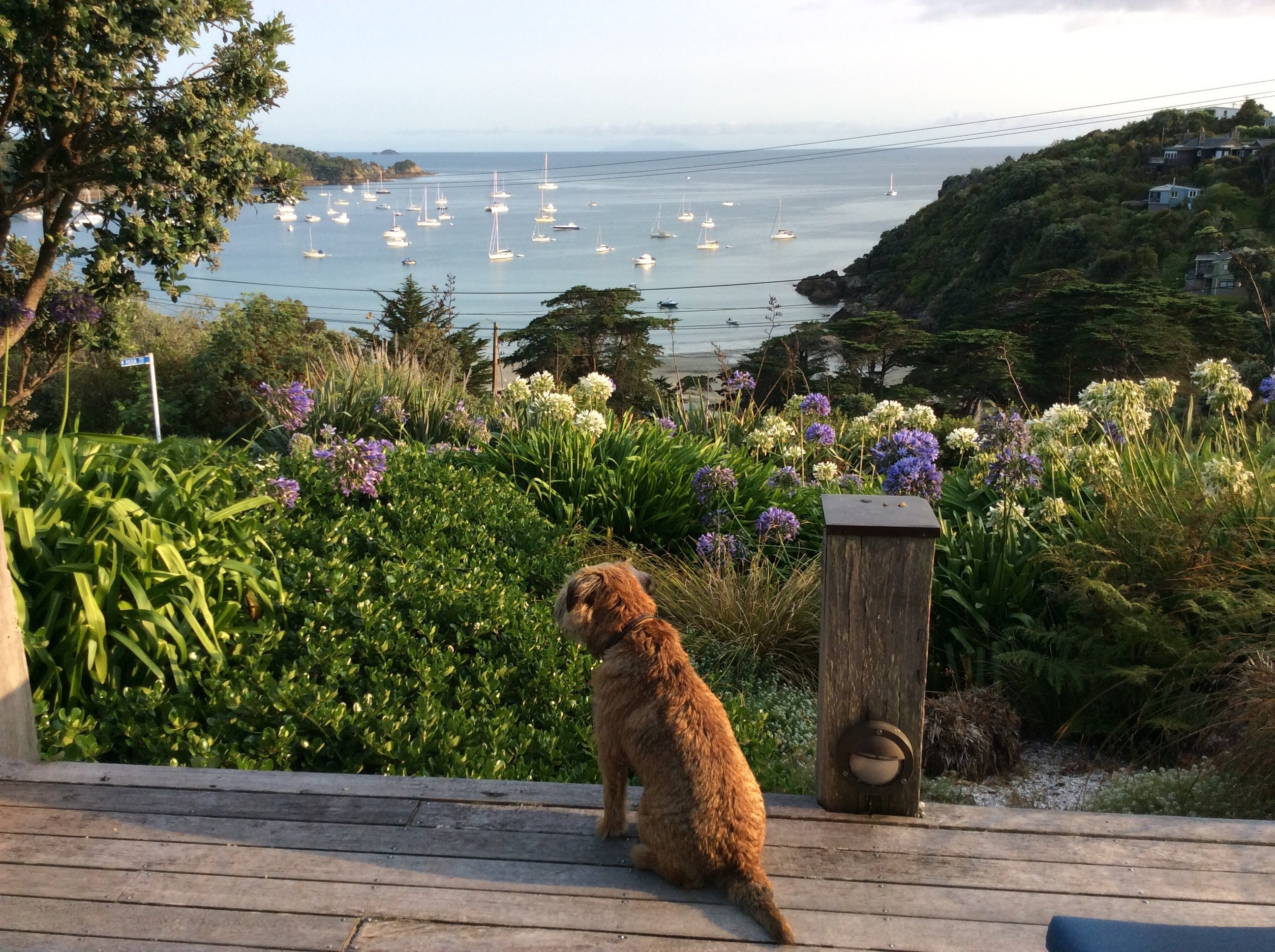 The Boatshed-浴室