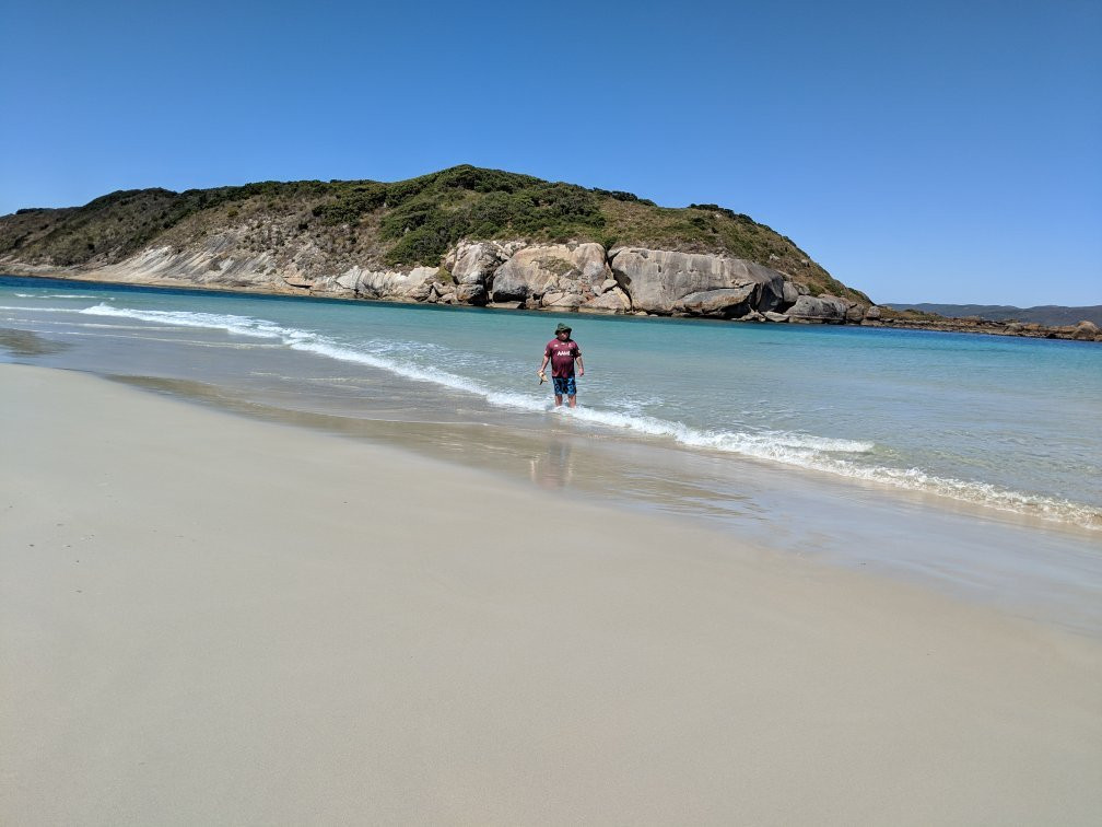 Muttonbird Beach and Shelter Island-奥尔巴尼必去景点