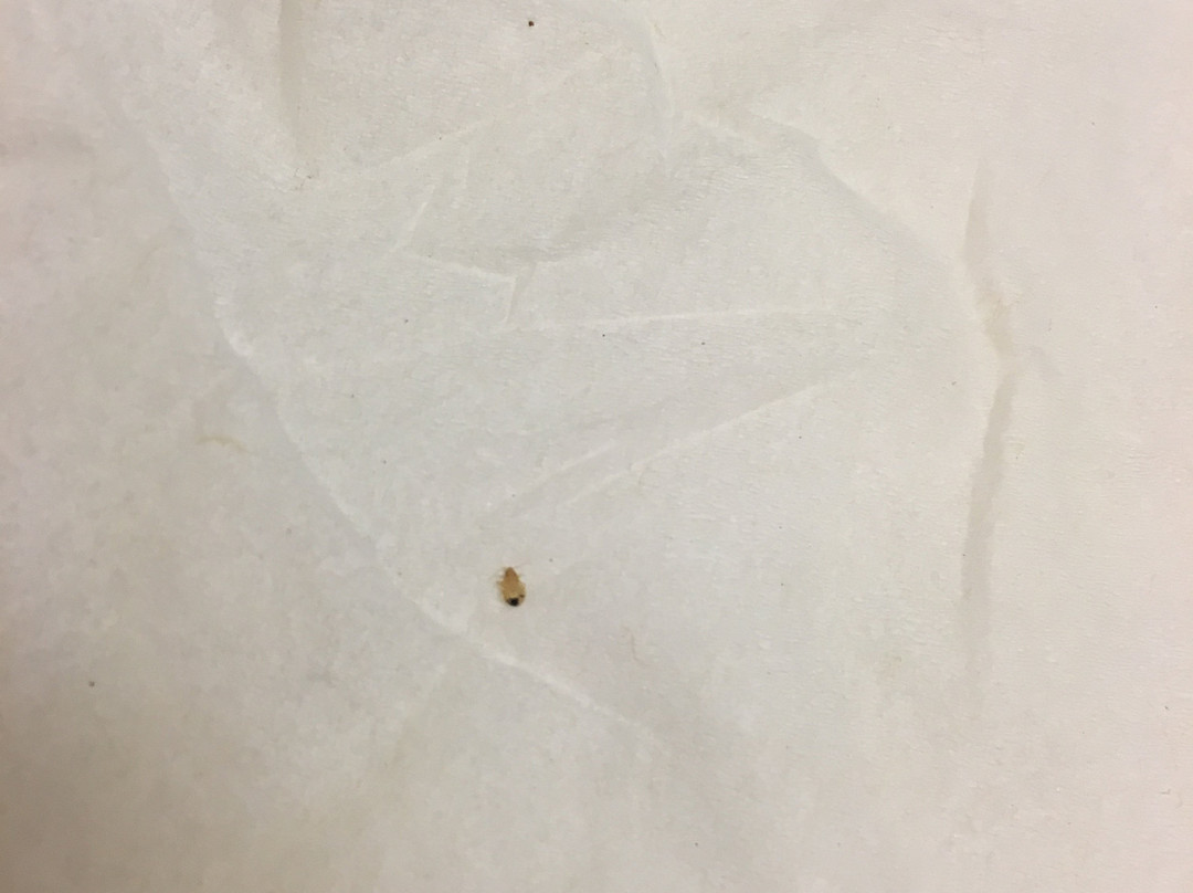 Super 8 by Wyndham Regina主图