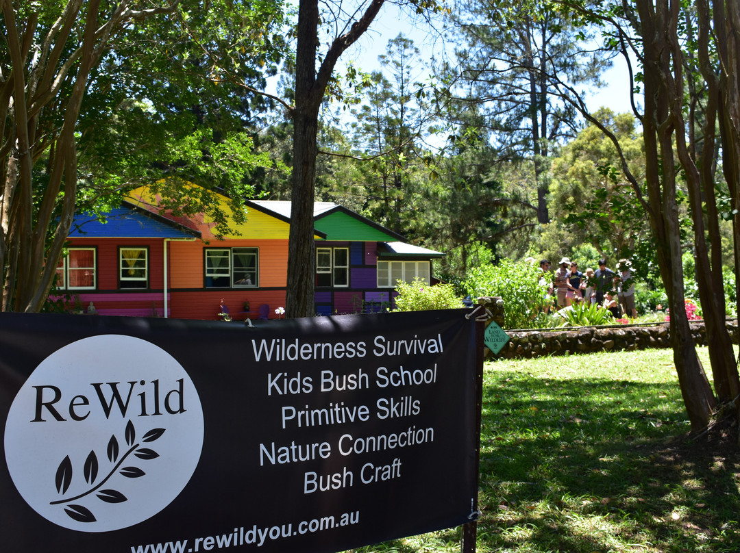 ReWild You景点图片