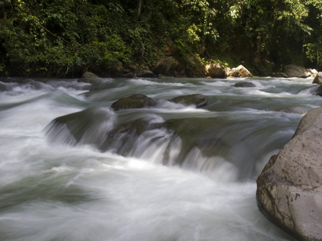 Sumatra Tour & Travel-武吉拉旺必去景点