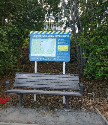 Waikareao Estuary-陶兰加必去景点