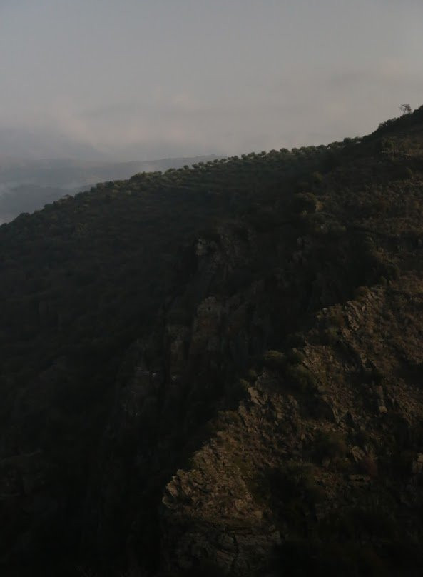 Miradouro Natural do Alto da Sapinha景点图片