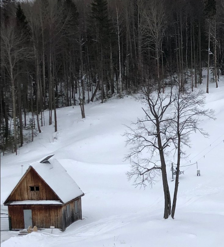 Demidkovo旅游攻略图片